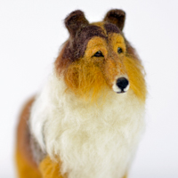 Allie the dog needle felted Rough Collie  Olga Timofeevski