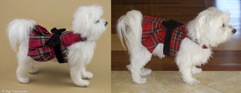 Needle felted Kalea the Maltese side-by-side with the real dog