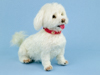 Daisy the Maltese needle felted sculpture