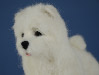 Needle felted Joy the Samoyed handmade by Olga Timofeevski