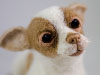 Lolita the Chihua needle felted sculpture