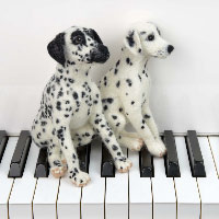 Needle felted Dalmatian puppies on piano keys