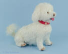 Custom needle felted Maltese  Olga Timofeevski