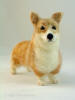 Felted figurine of Welsh corgi, front view