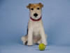 Wire Fox Terrier, needle felted dog  Olga Timofeevski