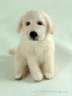 Golden Retriever pup, needle felted