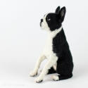 Boston terrier figrine facing left