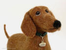 Needle felted dachshund, looking up, front view