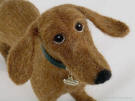 Needlefelted dachshund, looking up, close-up