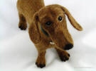 Needle felted dachshund statue, looking up