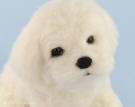 Needle felted Maltese puppy  Olga Timofeevski