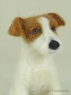 Casper the Jack Russell terrier, artist needle felted, close-up