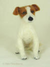 Jack Russell terrier, artist needle felted of wool, front view
