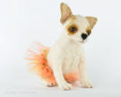 Rosie the Chihuahua of "Puppy Love" collection  Olga Timofeevski