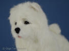 Samoyed puppy handcrafted by needle felting,  Olga Timofeevski