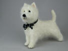 West Highland White Terrier by Olga Timofeevski 