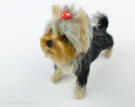 Needle felted sculpture of Yorkie puppy,  Olga Timofeevski