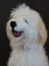 Needle felted Bearded Collie  Olga Timofeevski