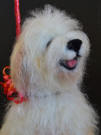 Stanley with balloons attached to his collar, needle felted Bearded Collie
