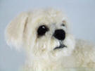 Needle felted sculpture of Shih Tzu facing right