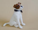 Needle felted figurine of Uggie the dog artist