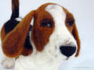 Needle felted Basset Hound, facing front right, close-up