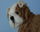 English bulldog figurine needle felted by Olga Timofeevski