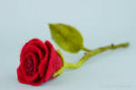 A red, life-size rose expertly needle felted by artist Olga Timofeevski
