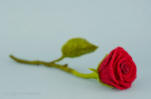 Finely needle felted 12-inch long red rose,  Olga Timofeevski