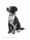 Laina the Border Collie, Black Lab and  pointer mix needle felted by Olga Timofeevski