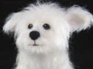 Westie mix, needle felted dog sculpture, close-up