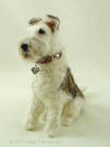 Felted Wire Fox Terrier facing left