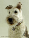 Needle felted Fox Terrier up close