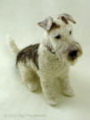 Arnold the Fox Terrier needle felted by Olga Timofeevski
