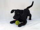 Felted black Lab, facing front left