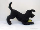 Black Labrador, felted, side view, facing right