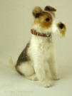 Randoplh, Wire Fox Terrier, needle felted by Olga Timofeevski