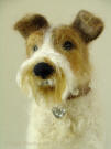Needle felted wire-haired terrier  Olga Timofeevski