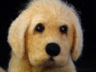 Yellow Labrador, needle felted, close-up