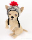 Needle felted Chihuahua in a knitted hat  Olga Timofeevski