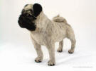 Needlefelted pug, facing front left 