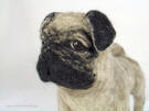 Needle felted pug, facing front left, close-up