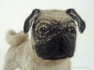 Needle felted pug, front view, close-up