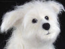 West Highland White Terrier mix, needle felted, close-up