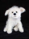 Needle felted Snowball, front view
